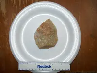 DSCN1764.webp