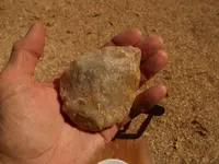 DSCN1770.webp