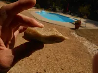 DSCN1773.webp