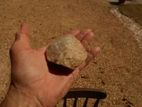 DSCN1775.webp