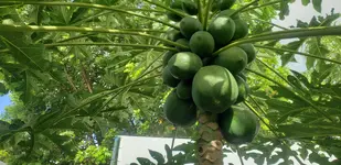 20190820_100714.webp
