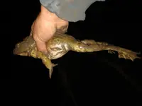 IMG_20190914_221815099.webp