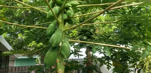 20190820_100818.webp
