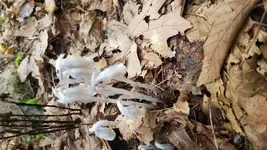 20190914_100729.webp