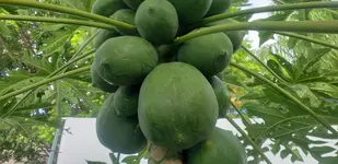 20190820_100940.webp