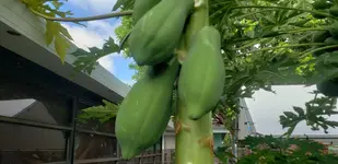 20190820_100930.webp