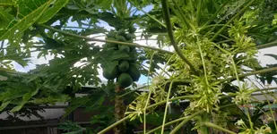 20190820_100918.webp
