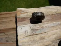 PP bead12.webp
