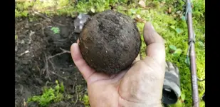Screenshot_20190906-153458_Video Player.webp
