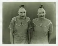 snow-pinheads.webp