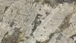 20190924_065425-0.webp