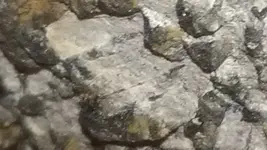 20190924_065438-0.webp