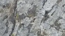 20190924_065202-0.webp