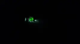 20190820_100515.webp