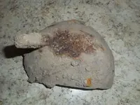 DSCN4024.webp