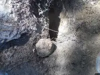 DSCN4038.webp