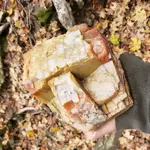 20191024_165453.webp