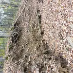 20191024_165533.webp
