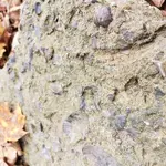 20191024_165610.webp