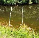 20191005_232539.webp