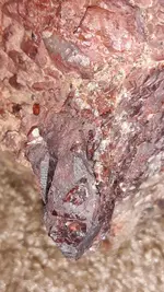 20190916_131625.webp