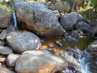 trip 092219 1.webp