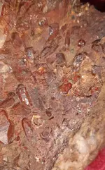20190916_130338.webp