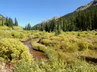 trip 092219 3.webp