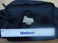 DSCN1682.webp