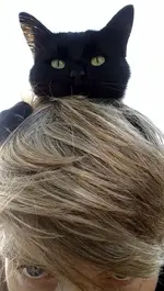 Screenshot_2019-09-06-16-57-13-1.webp