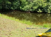 20191006_002030.webp