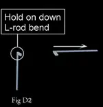 L-rods_fig-D2.webp