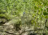 trip 092219 6.webp
