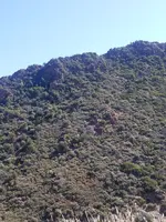 20191024_111629.webp