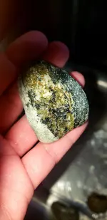 20191007_142656.webp