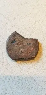 20191015_150150.webp