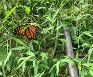 ImageUploadedByTreasureNet.com1566954330.846487.webp ImageUploadedByTreasureNet.com1566954330.846487.webp