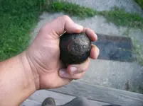 104_1115.webp