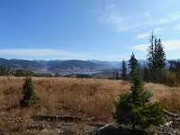walk 100519 1.webp