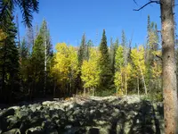 walk 100519 3.webp