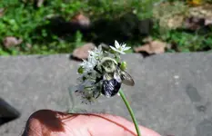 K1600_DSCN7183.webp