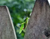 K1600_DSCN7176.webp