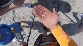 Gold and Diamond Anchor 4.webp