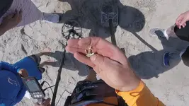 Gold and Diamond Anchor 3.webp