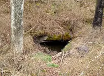 cave entrance.webp