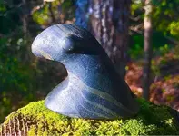 ImageUploadedByTreasureNet.com1571183209.917814.webp