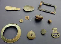 new finds oct 2019.webp