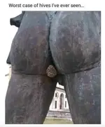 Screen Shot 2019-08-28 at 2.51.27 AM.webp