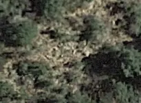 Screenshot_2019-10-15-19-38-57-2 (2).webp