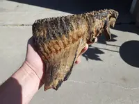 20191016_141013.webp